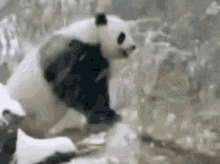 Funny Naughty GIF - Funny Naughty Mischievous GIFs