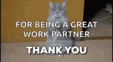 Thankyou Thank GIF - Thankyou Thank Cat GIFs