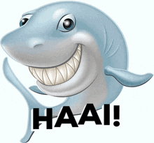 Haai Laughing GIF - Haai Laughing Shark GIFs