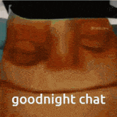 Goodnight Goodnight Chat GIF - Goodnight Goodnight Chat Chat GIFs