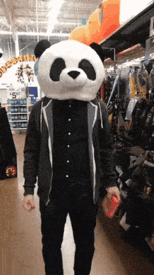 Tim Settineri Panda GIF - Tim Settineri Panda Hip Thrust GIFs