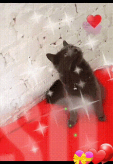 Love Cat GIF - Love Cat You Are So Special GIFs
