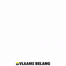 Vlaams Belang Vlaams Belang Jongeren GIF - Vlaams Belang Vlaams Belang Jongeren Vlaams GIFs