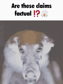 Are These Claims Factual GIF - Are These Claims Factual GIFs