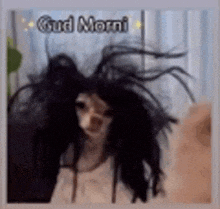a dog with a wig on its head and the words `` good morning '' on the bottom .