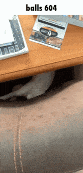 a cat is hiding under a table with balls 604 written on the bottom