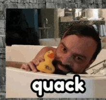 Quack GIF - Quack GIFs