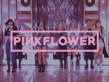 Pinkflower Sooya GIF - Pinkflower Sooya Rosalina GIFs