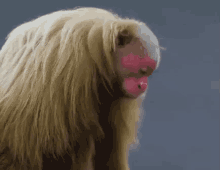 Monyet Botak GIF - Botak Monyet Kera GIFs