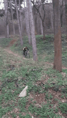 Bike Downhill GIF - Bike Downhill Ride GIFs