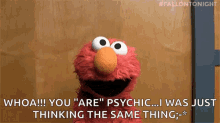 What Muppet GIF - What Muppet Whoa GIFs