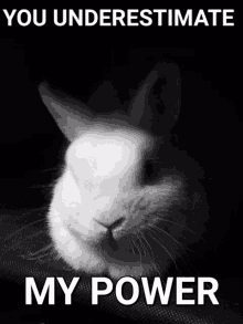 Nyunyu Power GIF - Nyunyu Power You Underestimate My Power GIFs
