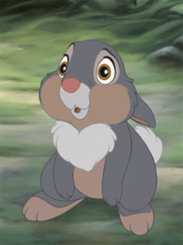 Pictures Of Thumper The Rabbit GIFs | Tenor