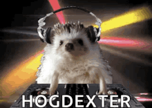 Hogdexter GIF - Hogdexter GIFs