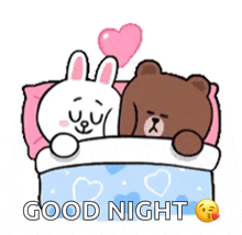 Sleeping Brown And Cony GIF - Sleeping Brown And Cony Brown GIFs