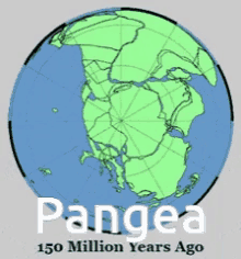 Pangea World History GIF - Pangea World History Continenal Drift GIFs