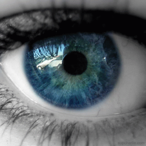 Blue Eyes Gif GIF – Blue Eyes Gif Funny – GIFs entdecken und teilen