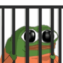 pepe prisoner jail pepe prisoner pepe the frog