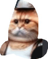 a close up of a cat wearing a hat and jacket