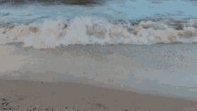 Beach GIF - Beach GIFs