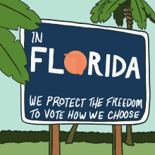 In Florida We Protect The Freedom To Vote How We Choose Florida GIF