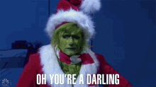 Oh Youre A Darling Grinch GIF - Oh Youre A Darling Grinch Matthew Morrison GIFs