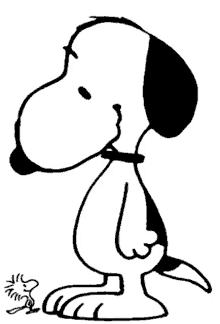 snoopy woodstock peanuts beagle dog