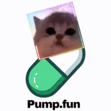 a picture of a cat in a capsule with the words pump.fun below it
