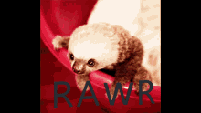 Sloth Rawr GIF - Sloth Rawr GIFs