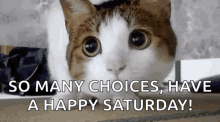 saturday confused so many choices have a happy saturday happy saturday