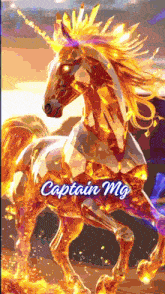 a picture of a unicorn with the name captain mg written below it