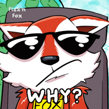 a cartoon of a fox wearing sunglasses with the words why written below it