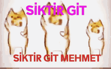 Mehmet Siktir GIF - Mehmet Siktir Gi̇t GIFs