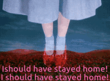 Dorothy Red Slippers GIF - Dorothy Red Slippers Stayed Home GIFs