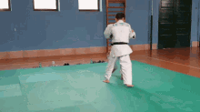 Karate GIF - Karate GIFs