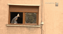 Vigilante De La Ventana Window Watcher GIF - Vigilante De La Ventana Window Watcher Wave GIFs