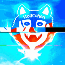 a wolf cohen logo is displayed on a blue and red background