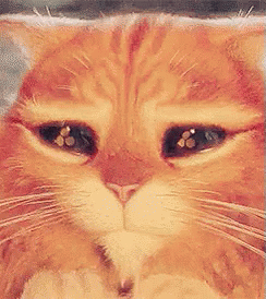 Puss In Boots Cat GIF - Puss In Boots Cat Cute - Discover & Share GIFs