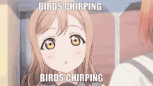 Chirp Birds Chirping GIF - Chirp Birds Chirping Annoying GIFs