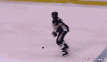 a hockey game is being played and a gif is displayed at the bottom