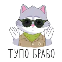 a sticker of a cat wearing sunglasses and a jacket with the words typo bravo below it