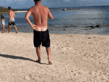 Drinking Beach GIF - Drinking Beach White Ass GIFs