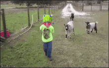 Gakkoverse Goat GIF - Gakkoverse Goat GIFs
