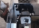 a black and white cat laying on top of a desk with a calculator on it