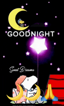 snoopy is sleeping under a crescent moon with a star and the words goodnight sweet dreams