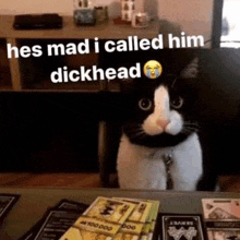 Dickhead Cat GIF