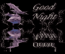 Bhavesh Good Night GIF - Bhavesh Good Night GIFs