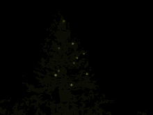 Gigglebees Christmas GIF - Gigglebees Christmas Christmas Tree GIFs