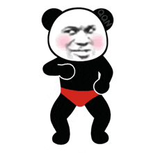 chinesememe panda