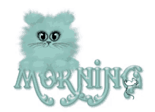 Morning Cats GIF - Morning Cats GIFs